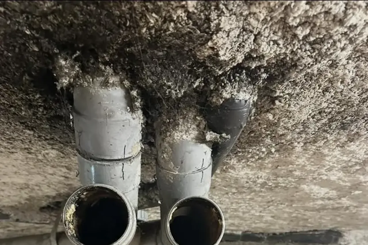 Colonnes d'évacuation d'une copropriété de Pantin ouvertes pour curage haute pression par 3D Assainissement